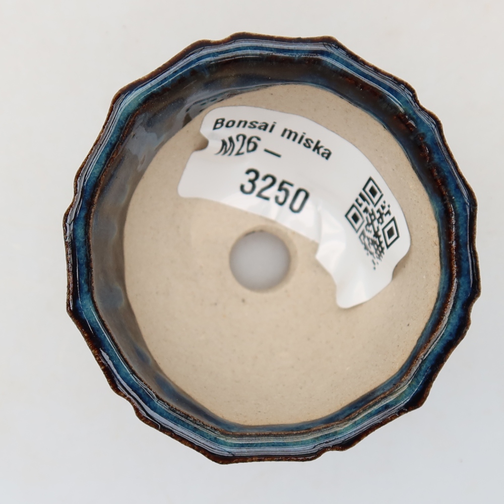 Vaso in ceramica per bonsai 5,5 x 5,5 x 3,5 cm, colore blu