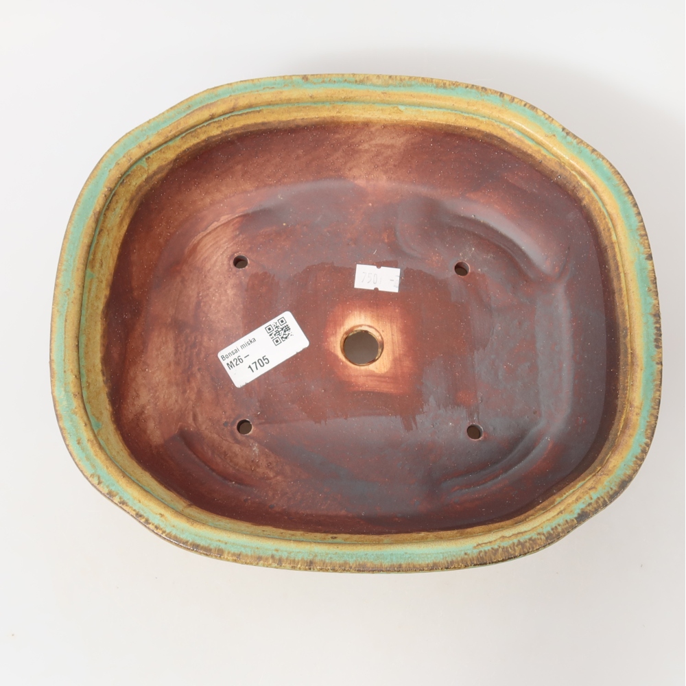 Ciotola bonsai in ceramica 25 x 21,5 x 7,5 cm, verde