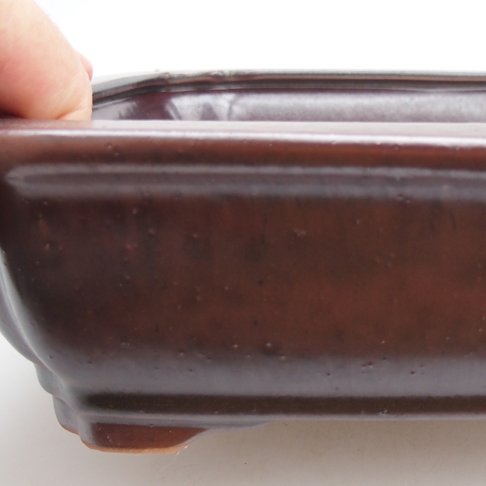 Ciotola bonsai in ceramica 27 x 21 x 7 cm, colore nero rosso