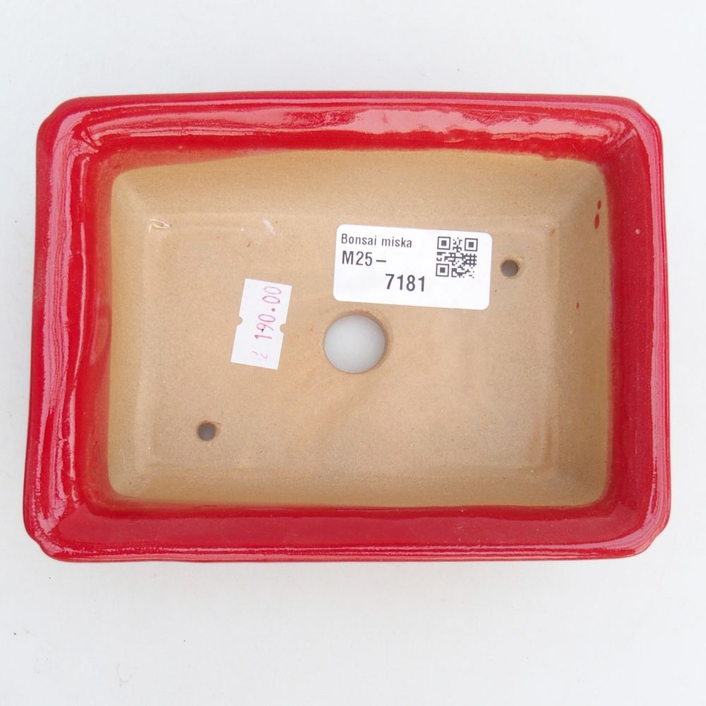 Ciotola bonsai in ceramica 26 x 26 x 8 cm, colore rosso