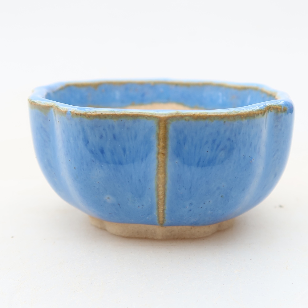 Vaso da bonsai in ceramica 5,5 x 5,5 x 3 cm, colore blu