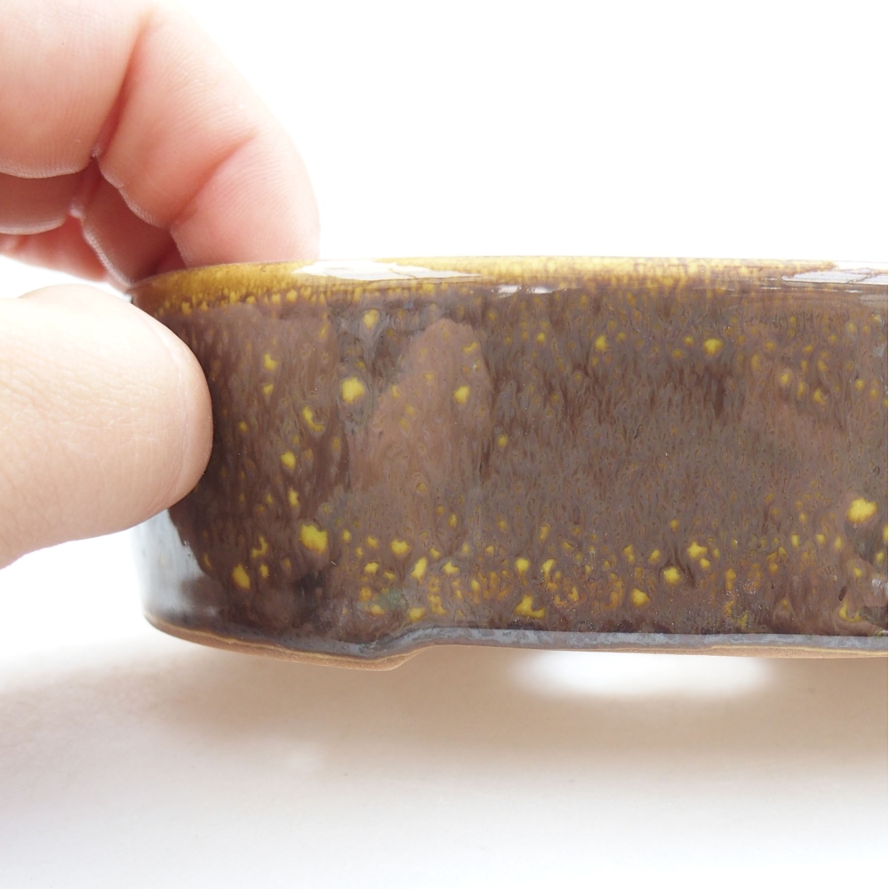 Ciotola bonsai in ceramica 22 x 17 x 5 cm, verde