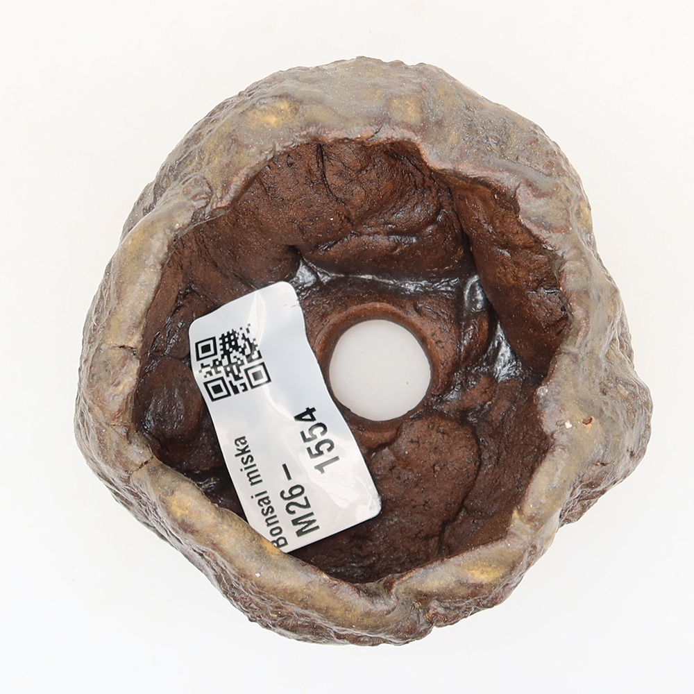 Guscio in ceramica  5,5 x 5,5 x 5 cm , colore marrone