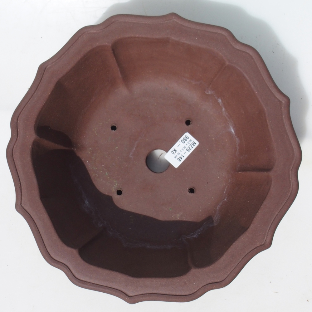 Ciotola per bonsai 30,5 x 30,5 x 10 cm - marrone