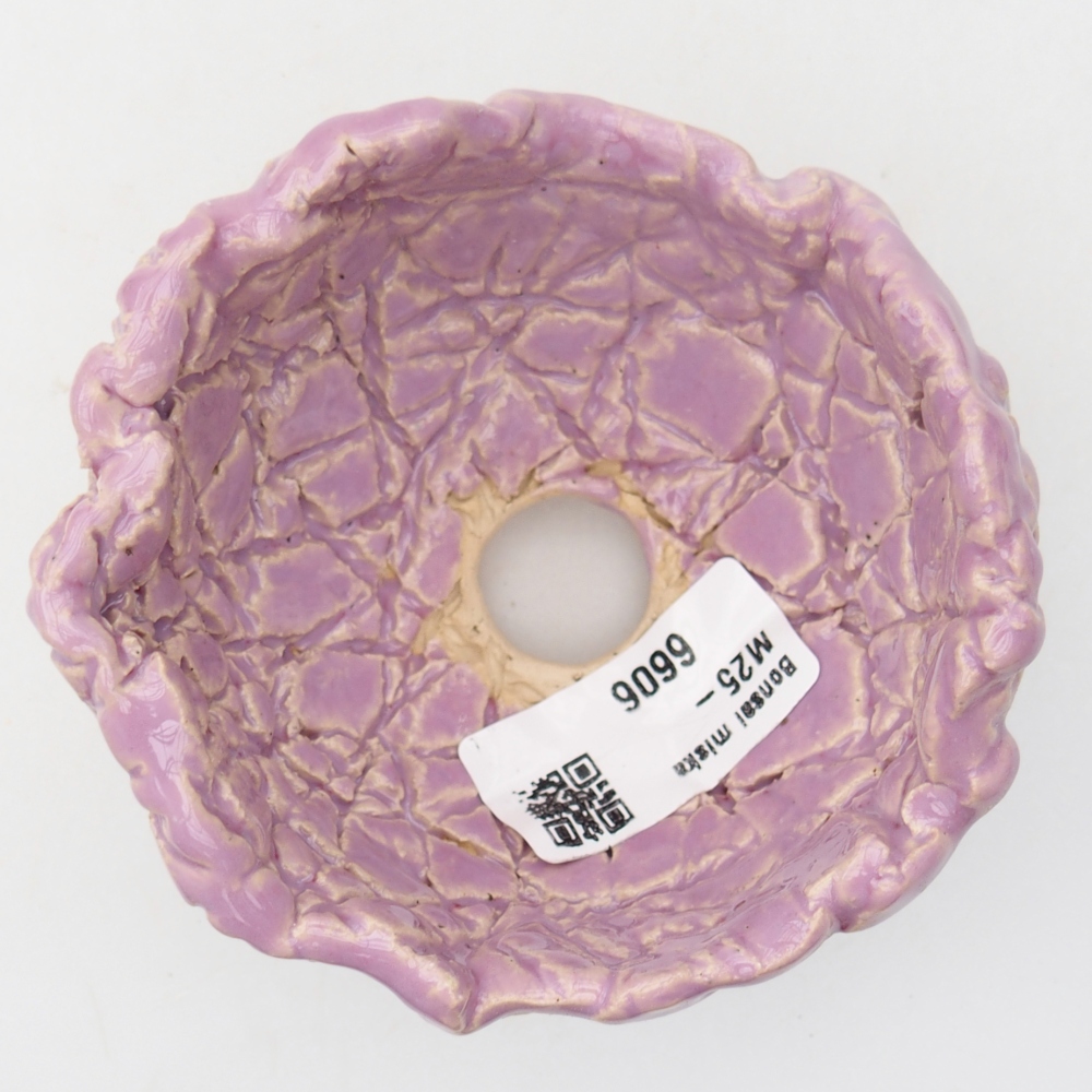 Conchiglia in ceramica 9 x 9 x 6 cm , colore viola