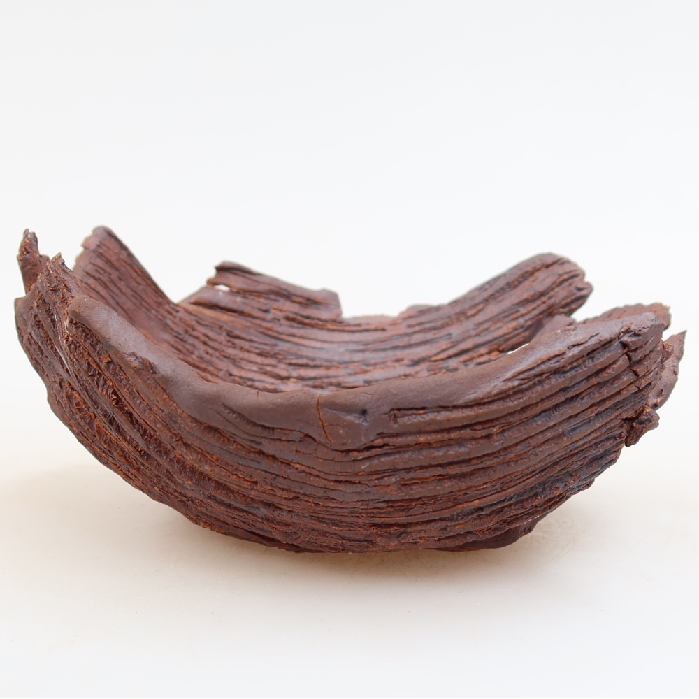 Conchiglia in ceramica  15 x 13 x 6,5 cm, colore marrone