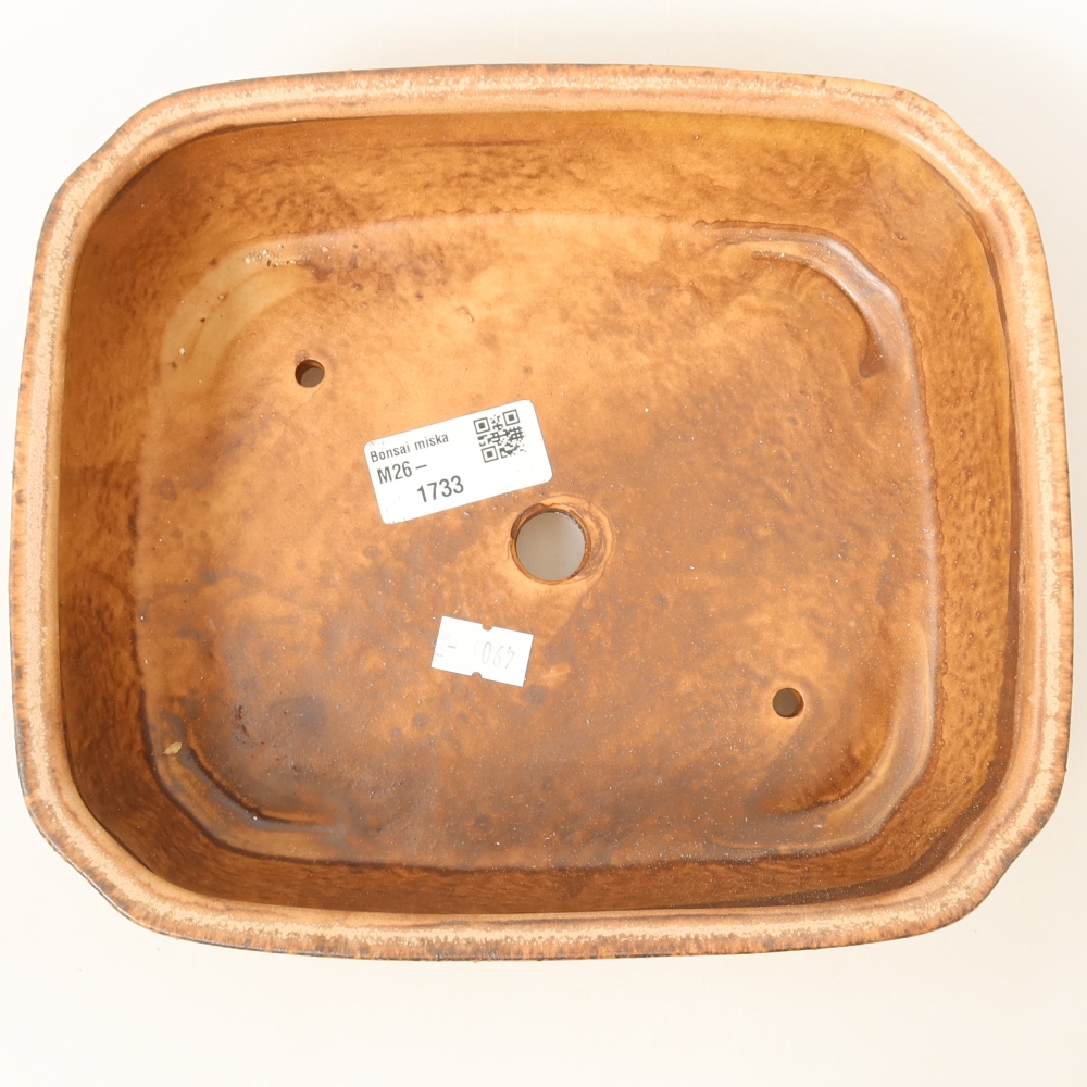 Vaso da bonsai in ceramica 21,5 x 18 x 6 cm, colore rosa