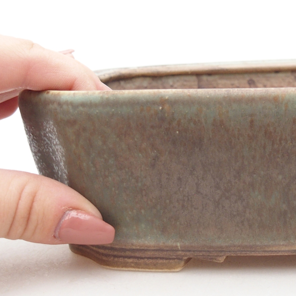 Ciotola bonsai in ceramica 21 x 18 x 6 cm, verde