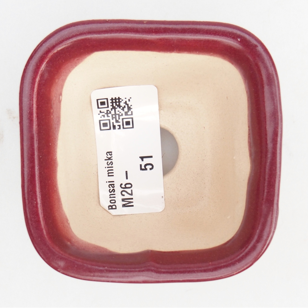 Ciotola per mini bonsai 6 x 6 x 4,5 cm, bordeaux