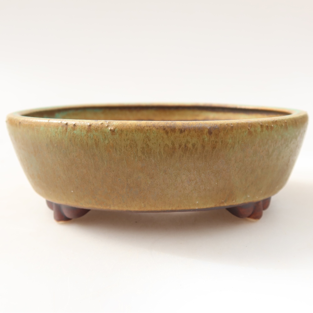 Vaso da bonsai in ceramica 12 x 10,5 x 4 cm, colore verde
