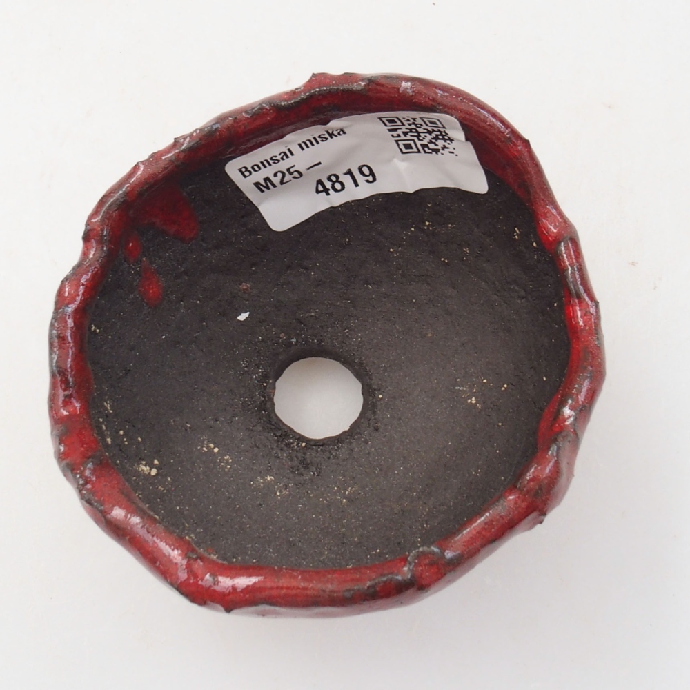 Conchiglia in ceramica 7 x 6,5 x 5 cm , colore rosso