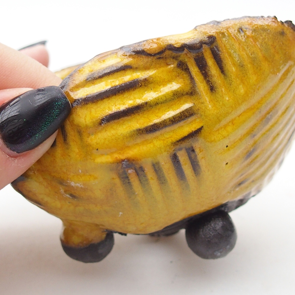 Conchiglia in ceramica 9 x 8 x 5,5 cm , giallo