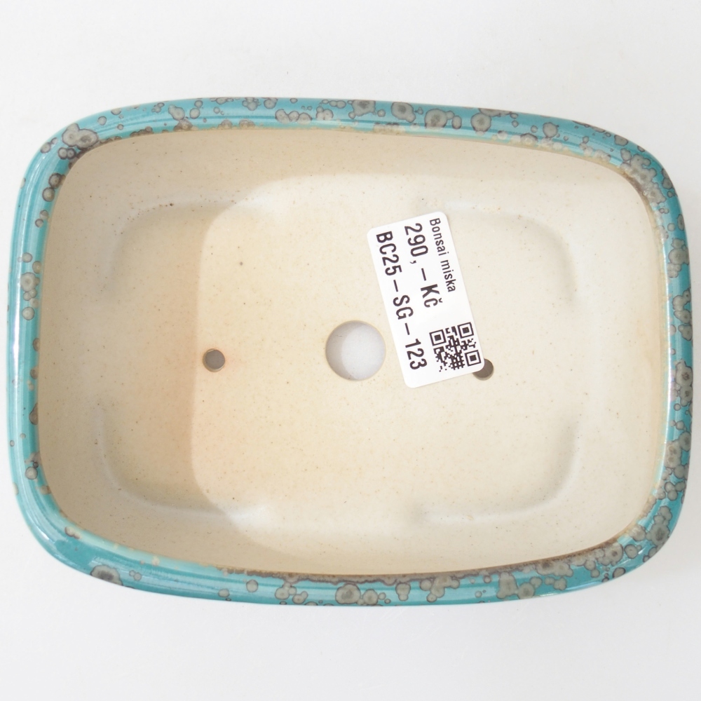 Ciotola 14,5 x 10,5 x 5 cm colore blu