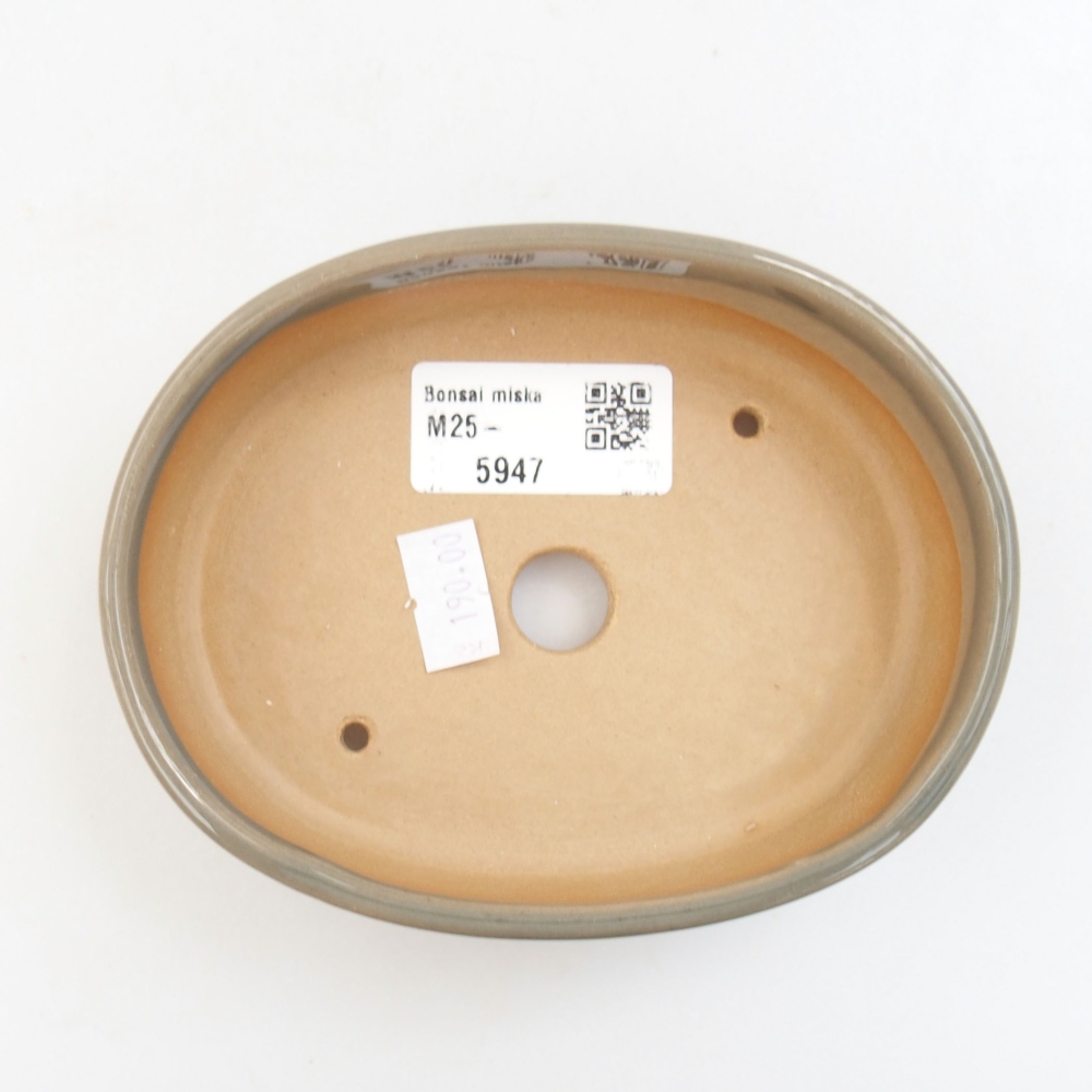 Ciotola bonsai in ceramica 22 x 17 x 5 cm, verde