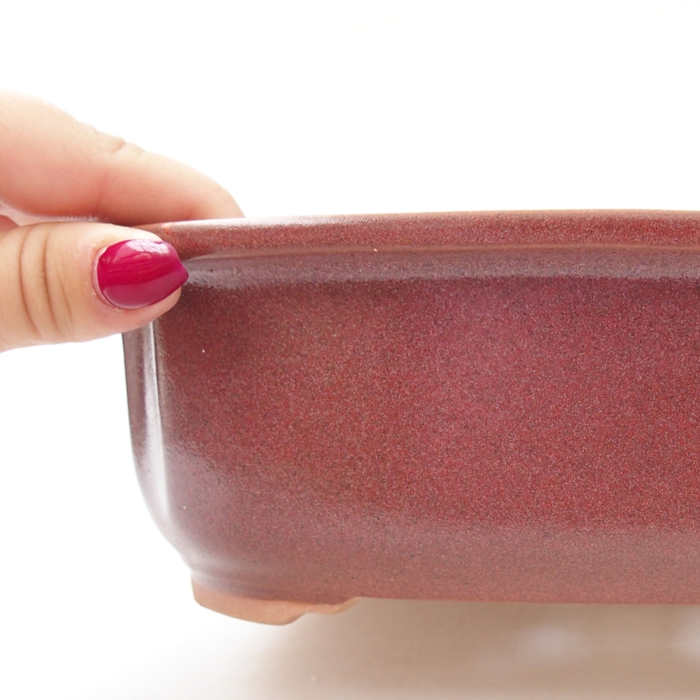Ciotola bonsai in ceramica 24,5 x 21 x 7 cm, colore bordeaux