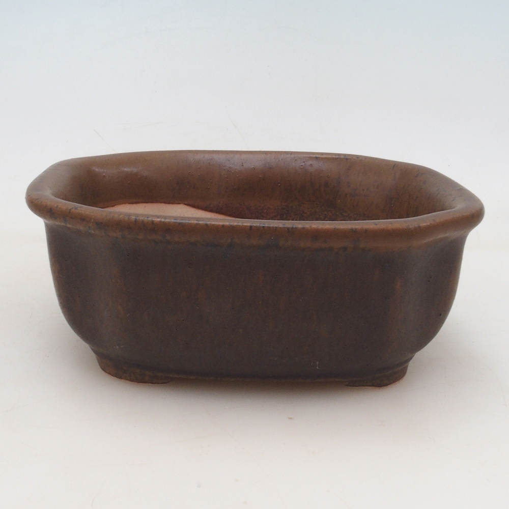 Ciotola per bonsai H31 - 14 x 12 x 5,5 cm - marrone