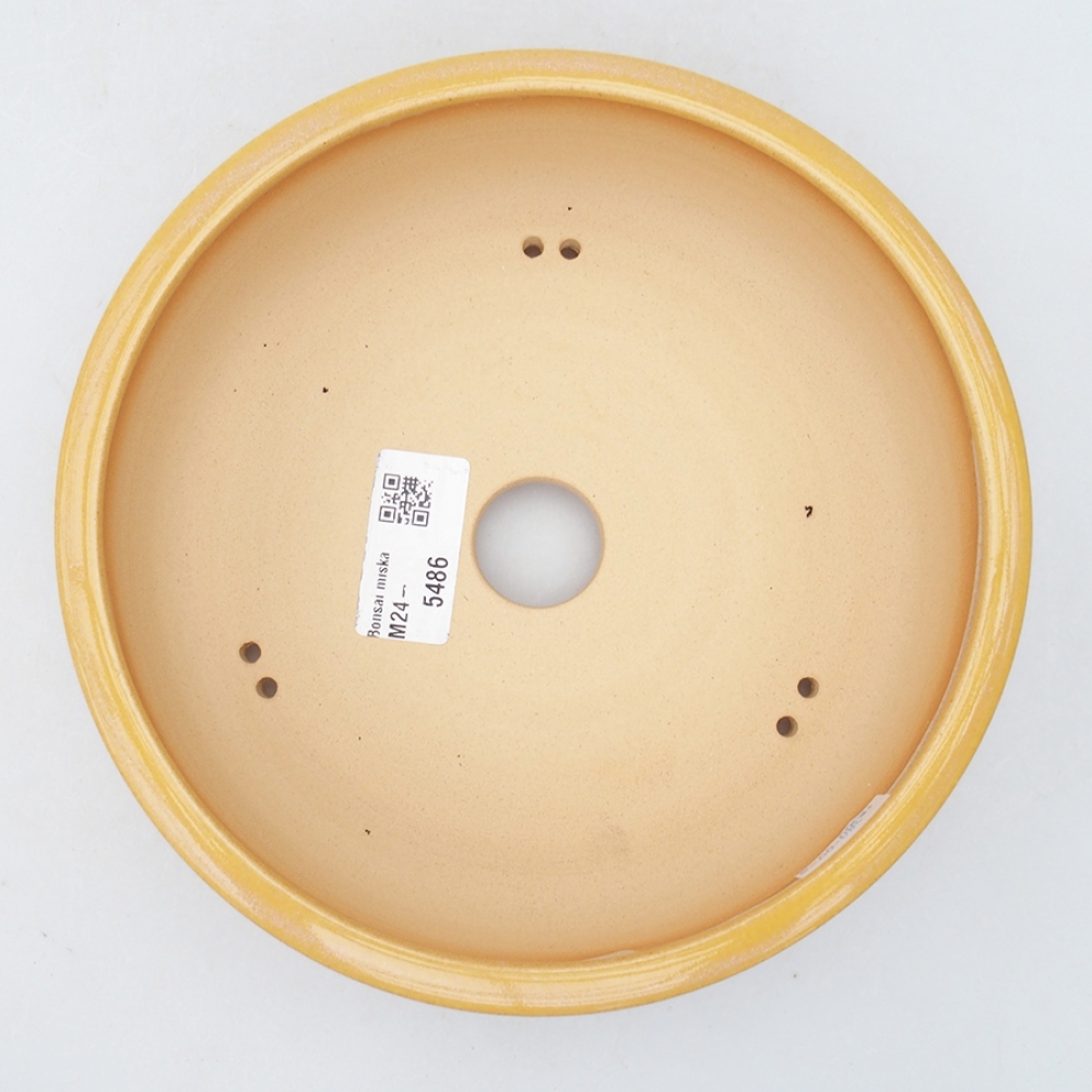 Ciotola per bonsai in ceramica 18,5 x 18,5 x 6 cm, giallo