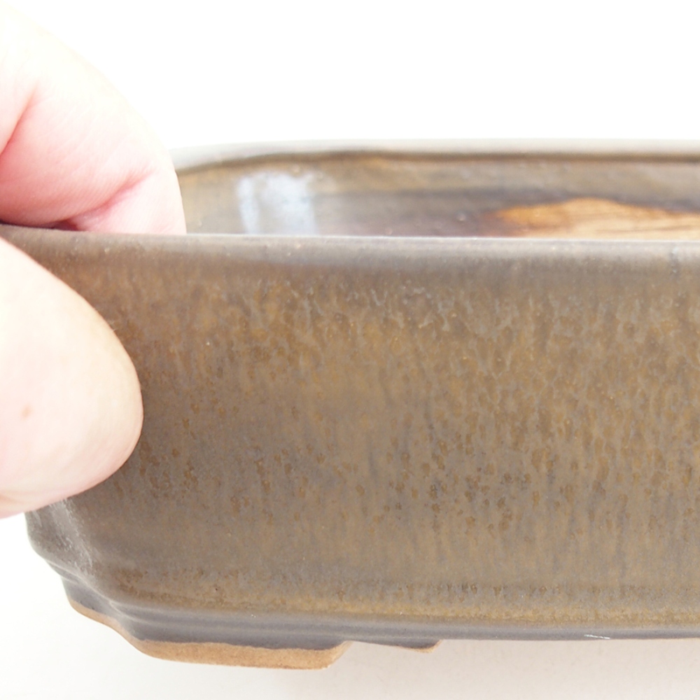 Ciotola per bonsai in ceramica 21 x 18 x 6 cm, marrone