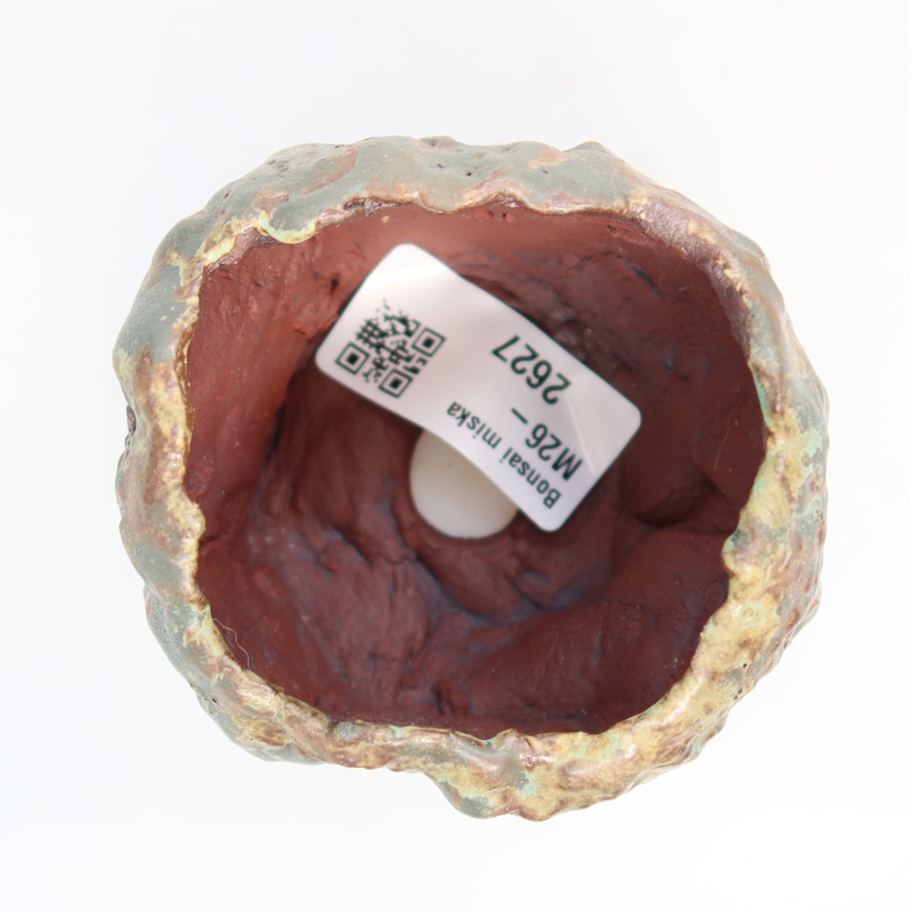 Guscio in ceramica  7 x 6,5 x 5,5 cm, colore verde