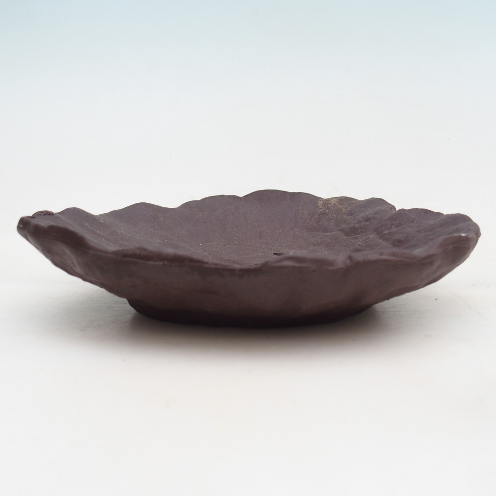 Conchiglia in ceramica 16 x 14,5 x 4 cm , colore marrone