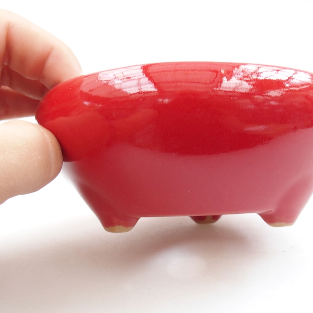 Ciotola bonsai in ceramica 22 x 17 x 5 cm, verde