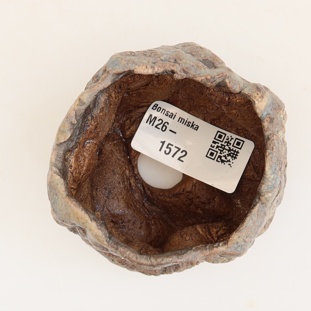 Guscio in ceramica  5,5 x 5,5 x 6 cm , colore blu
