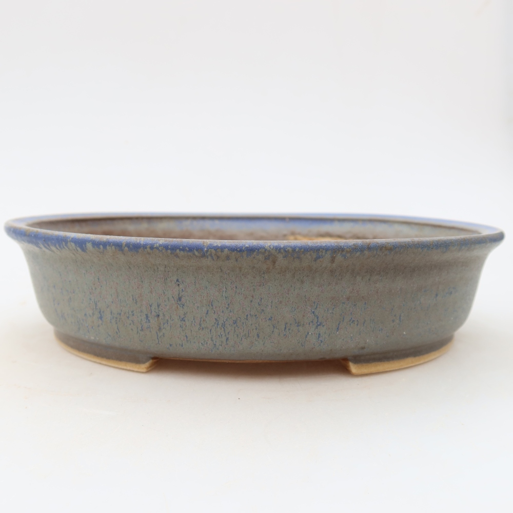 Vaso in ceramica per bonsai 21 x 19,5 x 5 cm, colore blu