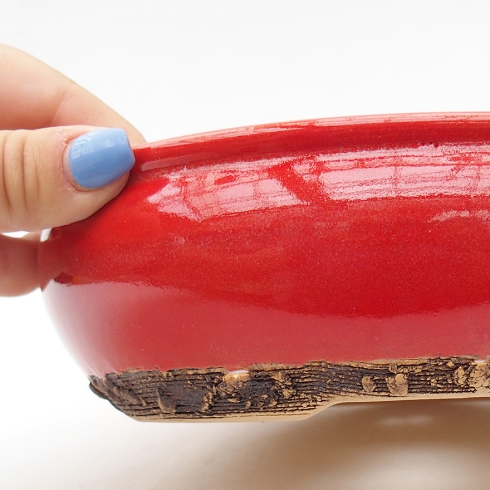 Ciotola per bonsai in ceramica 18,5 x 18,5 x 6 cm, colore rosso