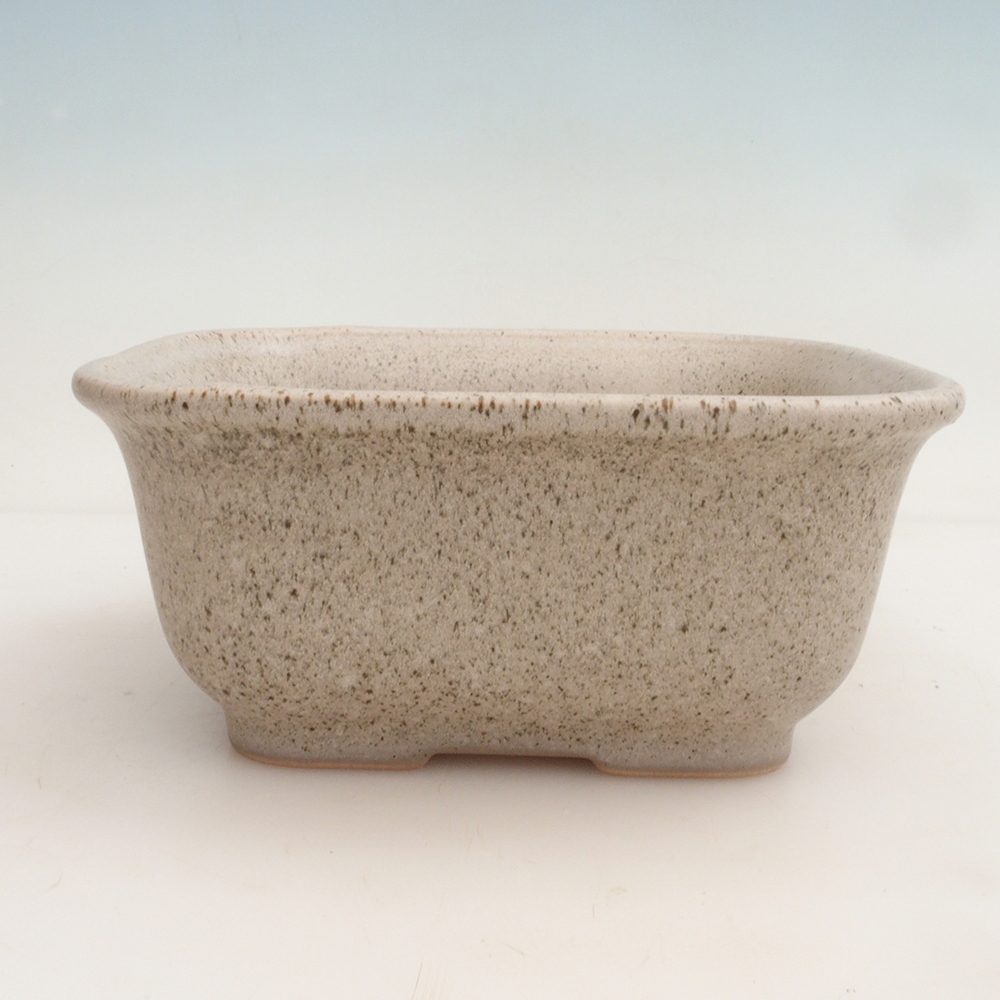 Ciotola bonsai + piattino H36 - 17 x 15 x 7,5 cm - beige