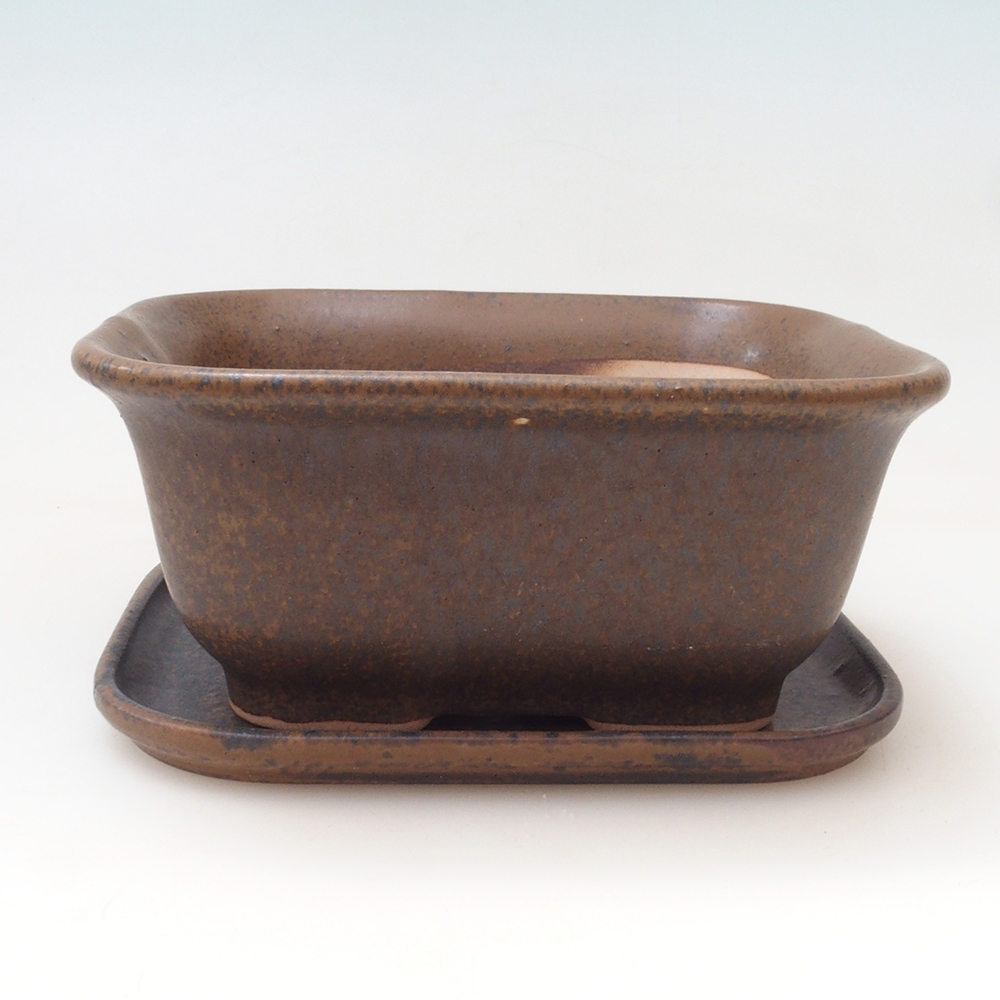 Ciotola bonsai + piattino H38 - 12x10x5,5 cm - marrone