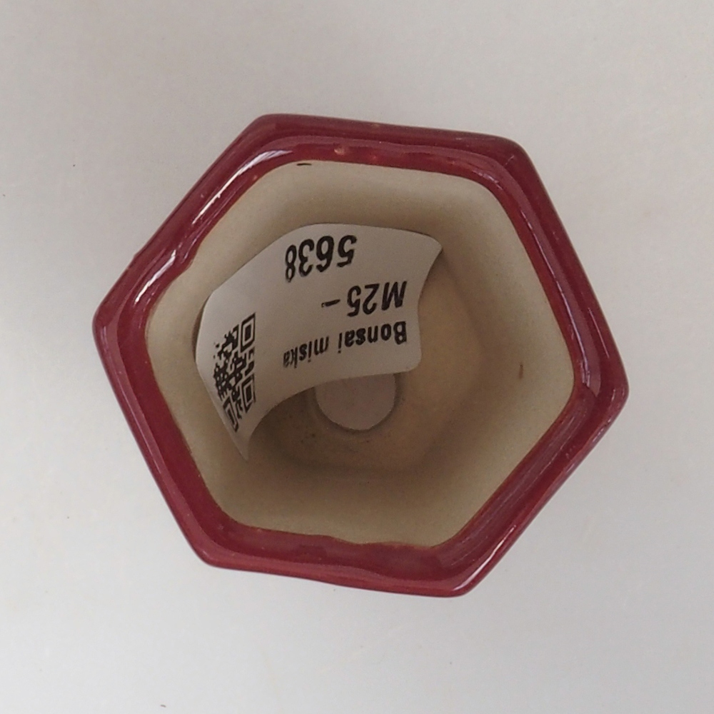 Ciotola per mini bonsai 4,5 x 4 x 6 cm, bordeaux