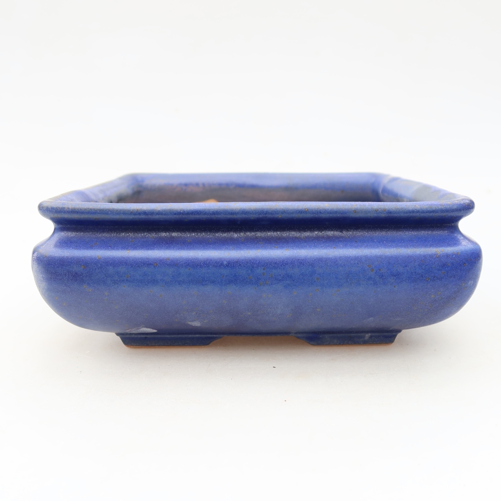 Vaso da bonsai in ceramica 15,5 x 15,5 x 6 cm, colore blu