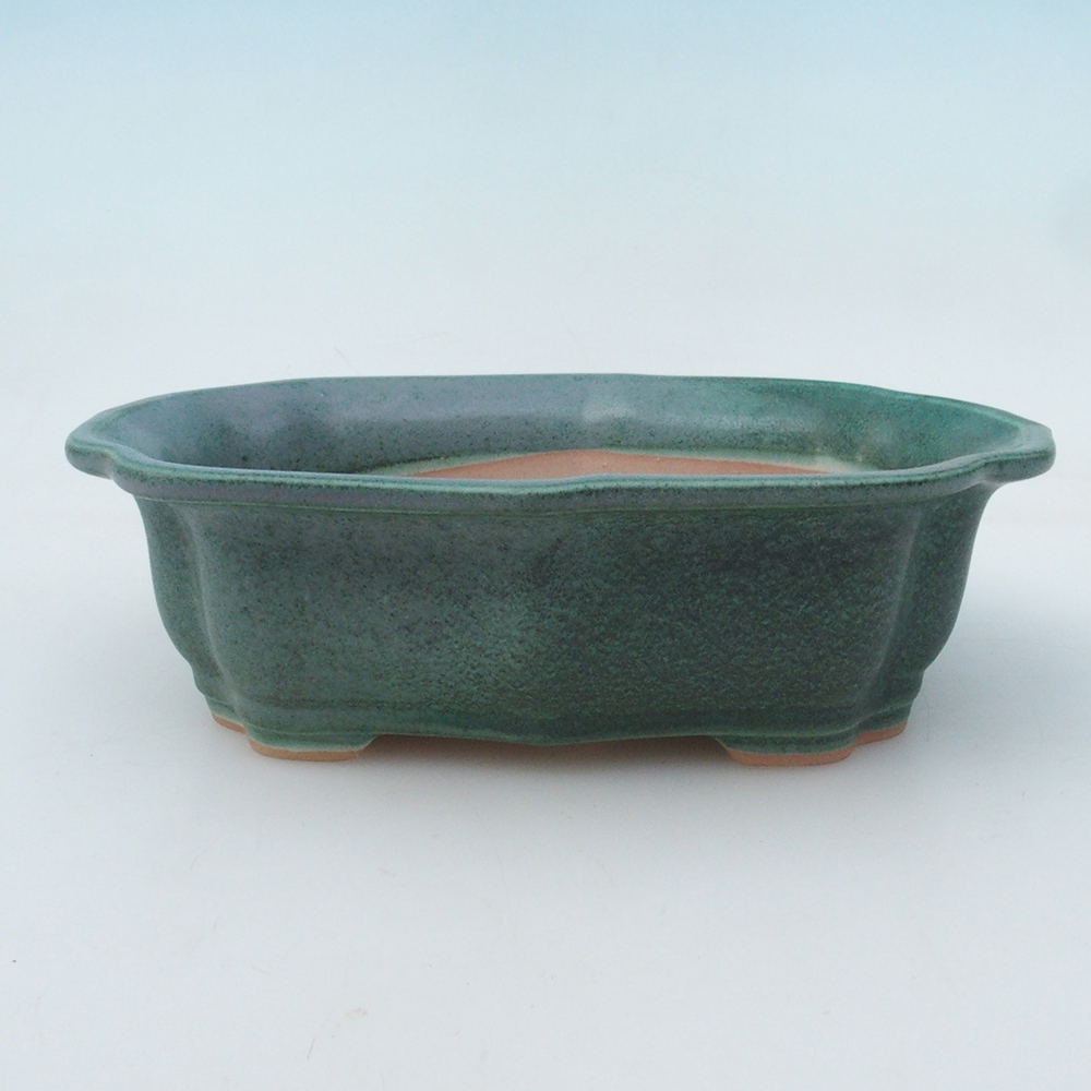 Ciotola bonsai + piattino H51 - 18x14x5 cm - verde