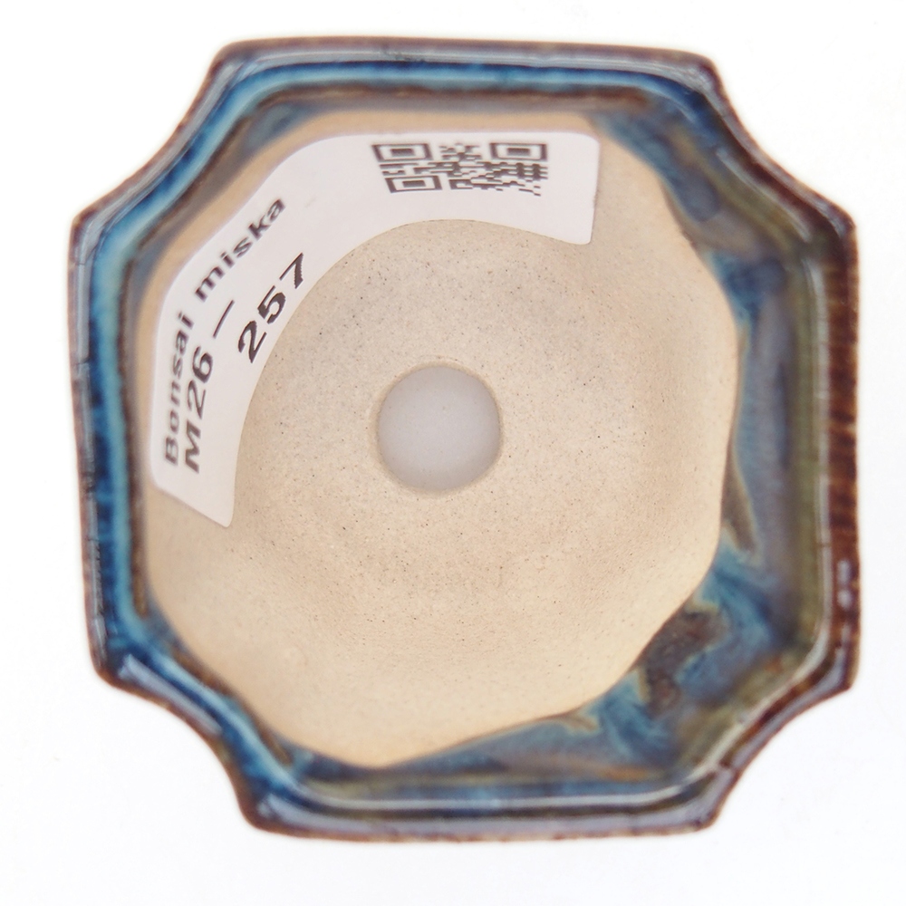 Mini bonsai 4,5 x 4,5 x 4 cm, colore blu