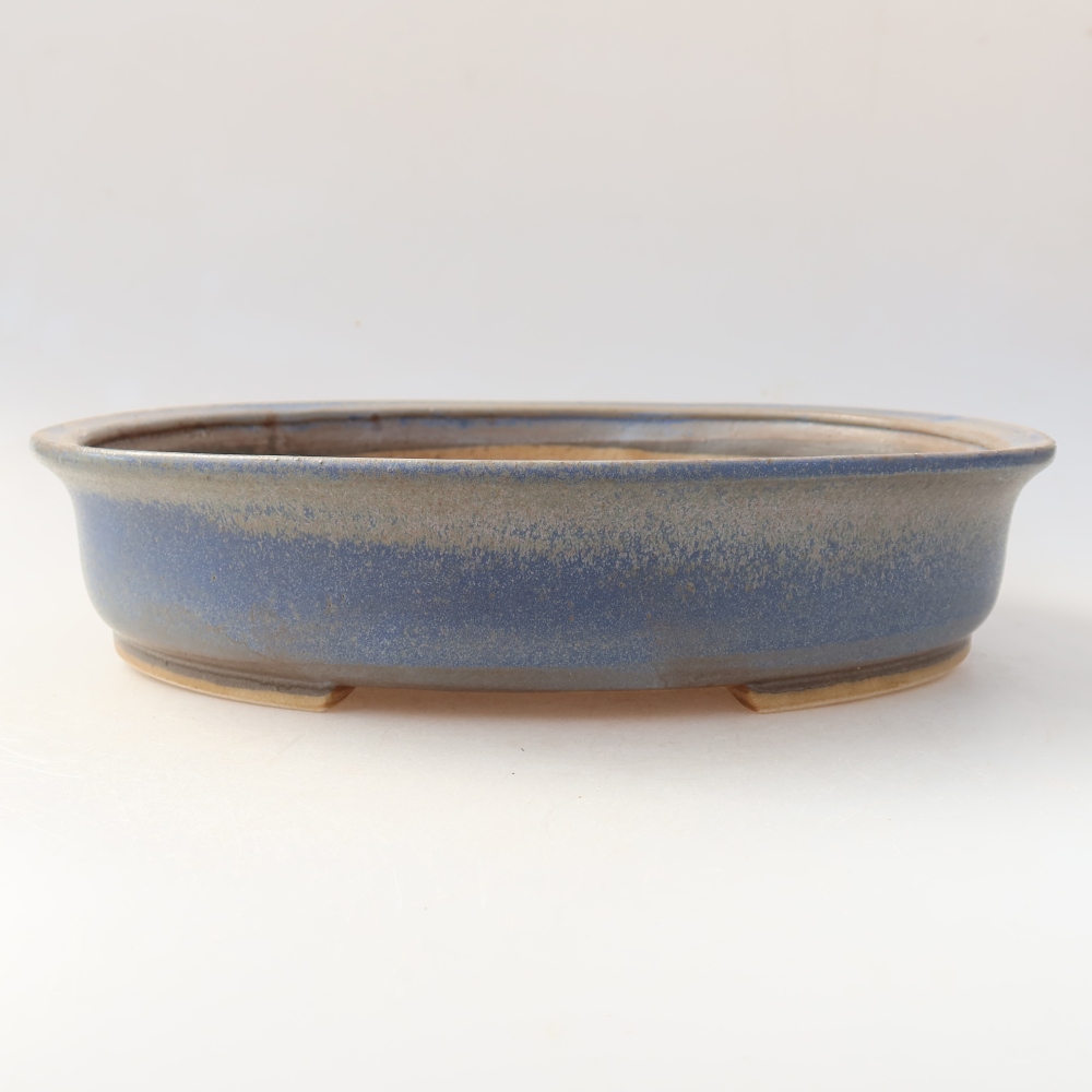 Vaso da bonsai in ceramica 26 x 24 x 6 cm, colore blu