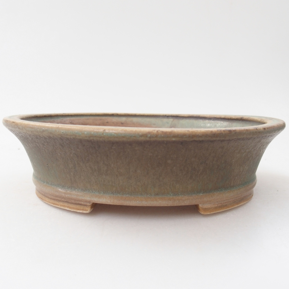 Ciotola per bonsai in ceramica 17,5 x 16 x 4,5 cm, annaffiata a colori