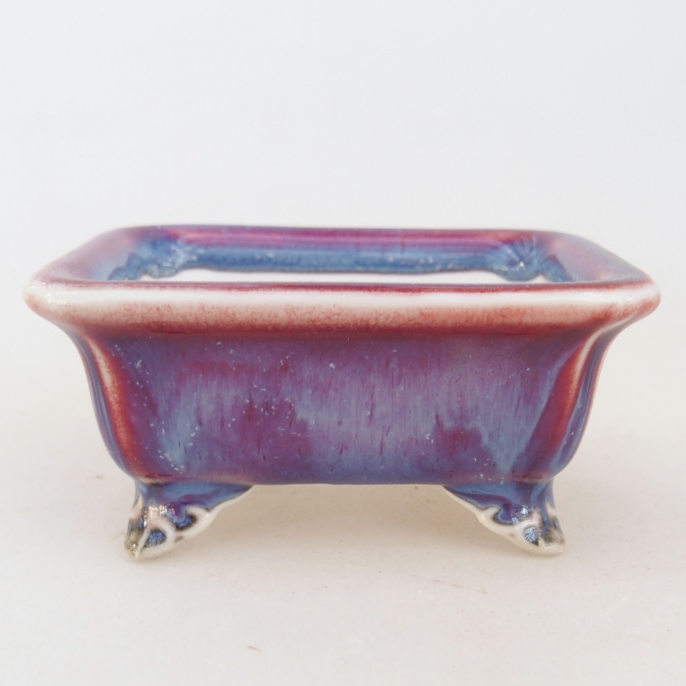 Mini bonsai 7 x 5,5 x 3 cm, colore viola