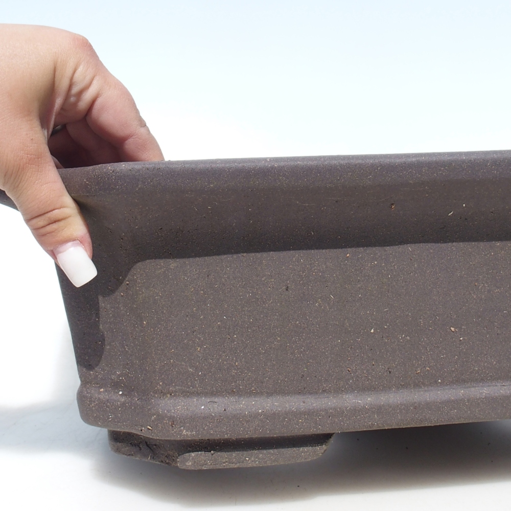 Ciotola per bonsai 40 x 30 x 12 cm - marrone
