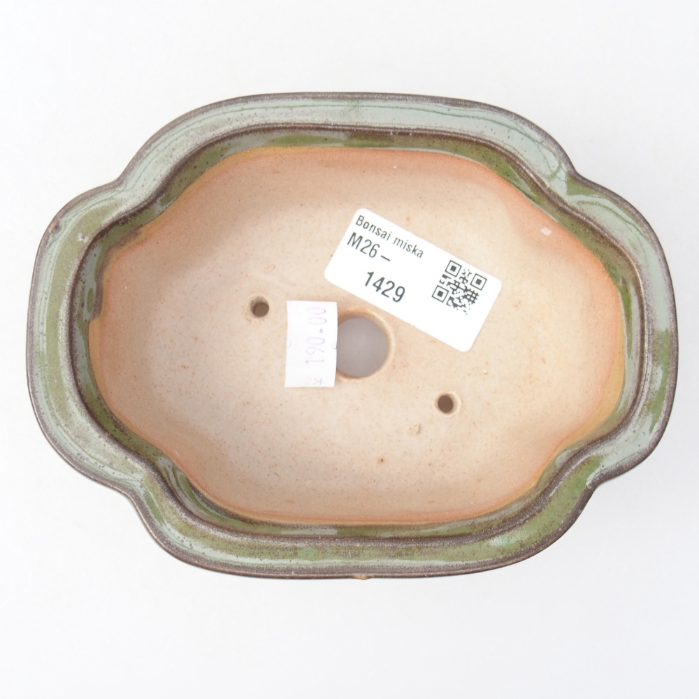 Ciotola bonsai in ceramica 13 x 10 x 5 cm, verde