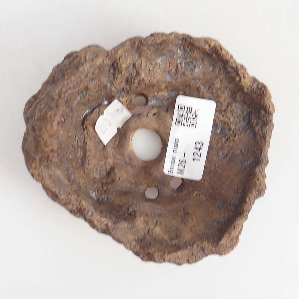 Conchiglia in ceramica 10 x 9 x 9 cm , colore marrone