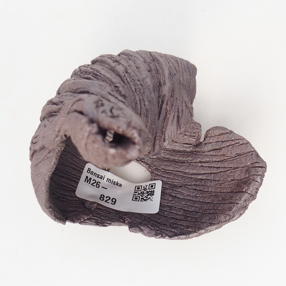 Conchiglia in ceramica 8 x 9 x 14 cm, colore metallizzato