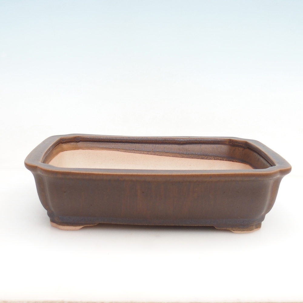 Ciotola per bonsai H07 - 30 x 20,5 x 8 cm.