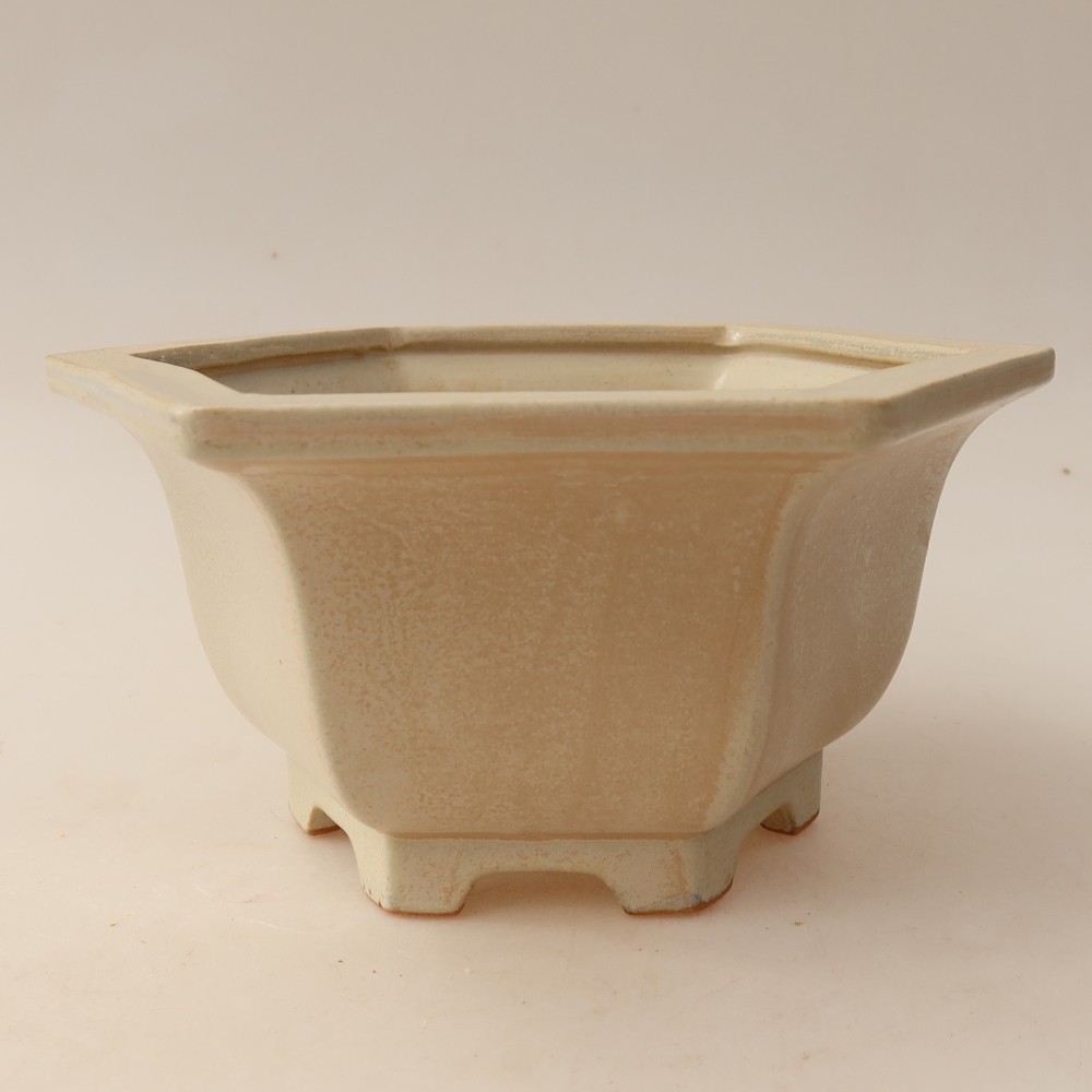 Vaso da bonsai in ceramica 18,5 x 16,5 x 9 cm, colore beige