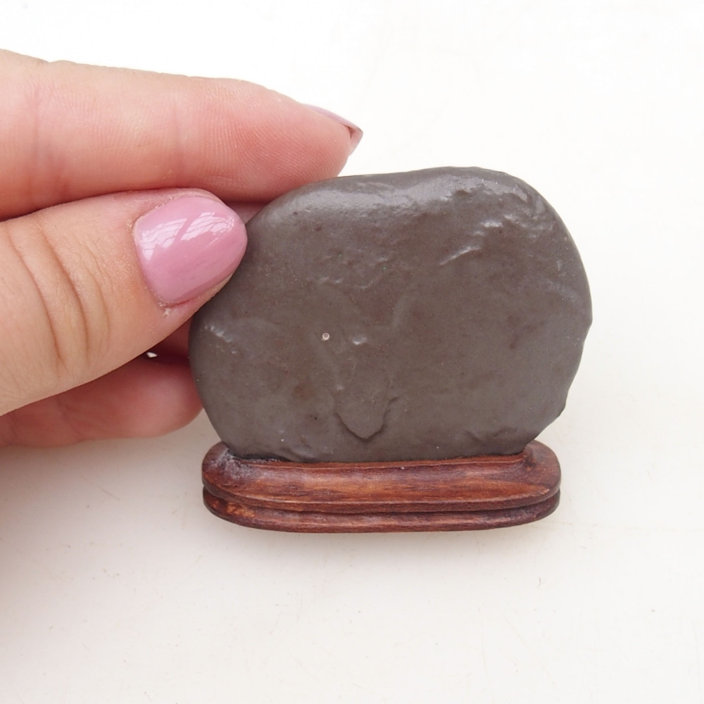 Suiseki - Pietra con DAI (base in legno)