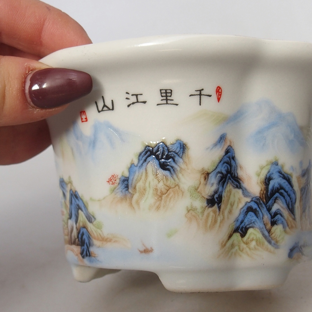 Ciotola per bonsai in ceramica 11,5 x 11,5 x 6 cm, bianca