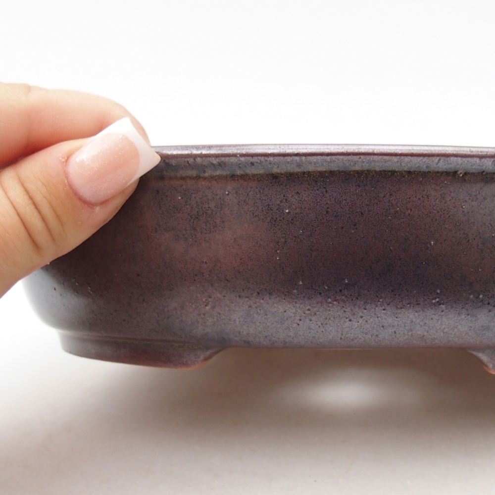 Ciotola per bonsai in ceramica 19 x 14,5 x 4,5 cm, marrone