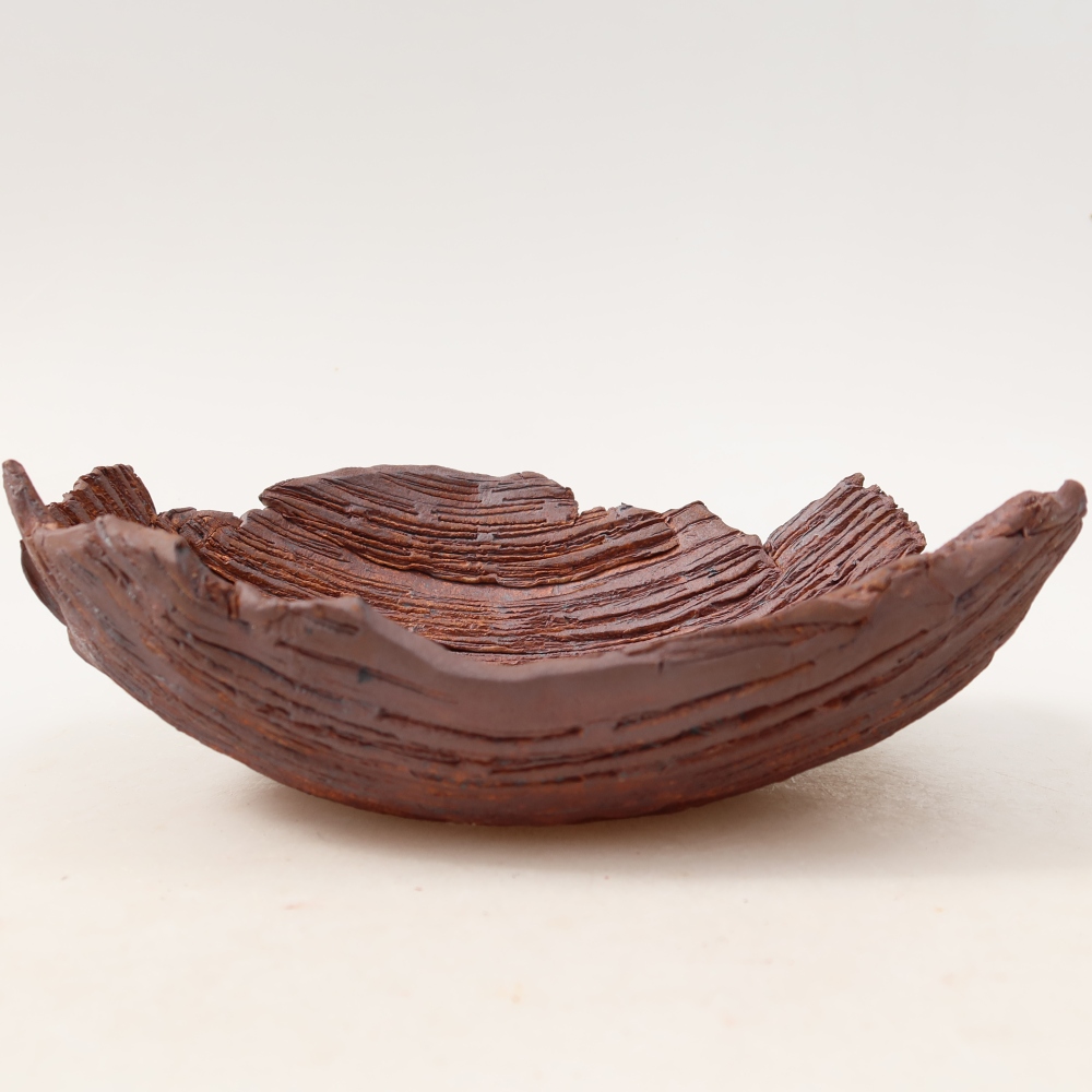 Conchiglia in ceramica  20 x 16 x 7 cm, colore marrone