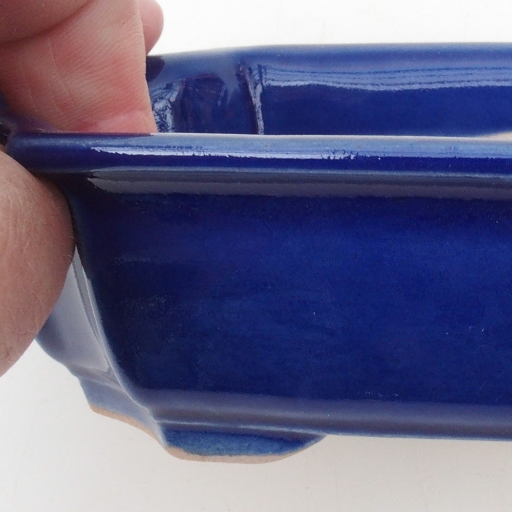 Ciotola per bonsai H17 - 15 x 10 x 4 cm - blu