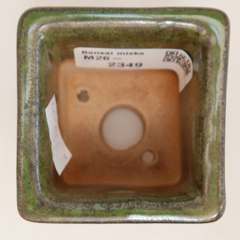 Vaso da bonsai in ceramica 6 x 6 x 5,5 cm, colore verde