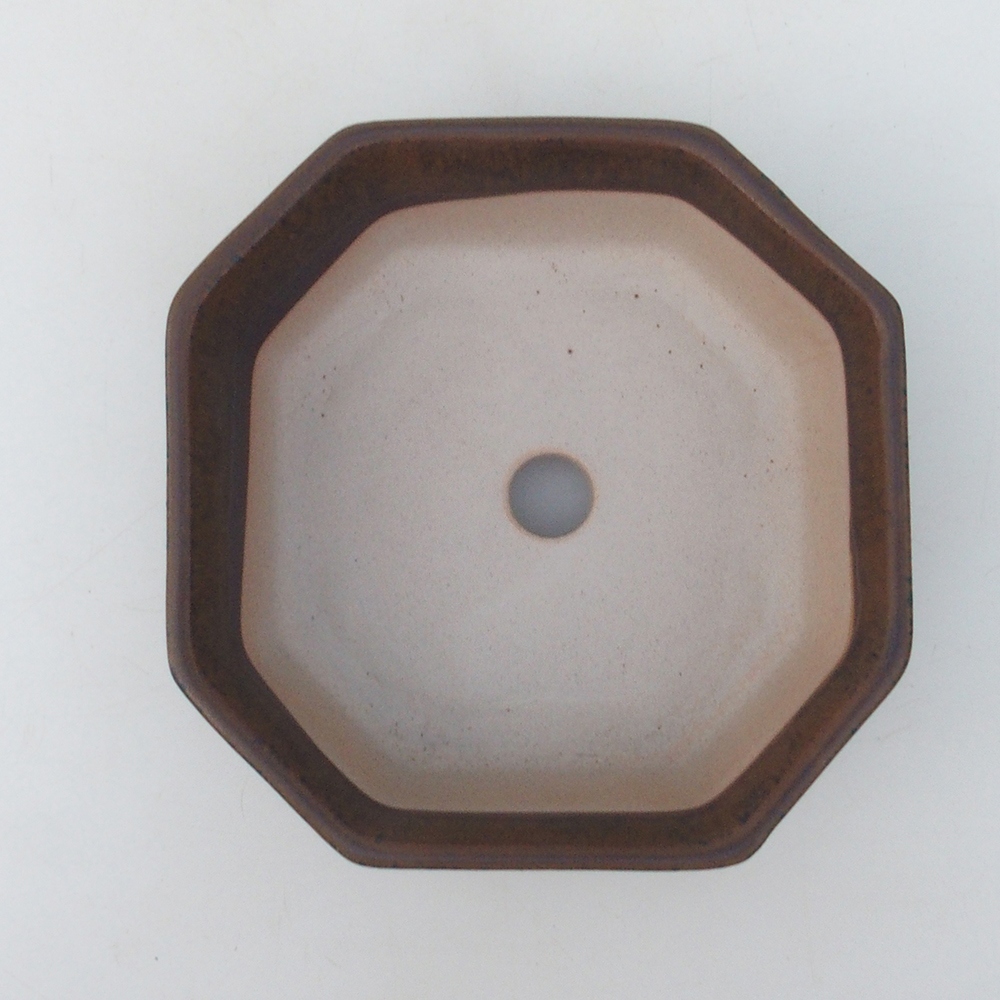 Ciotola per bonsai H13 - 12,5 x 12,5 x 4,5 cm - blu